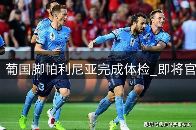 葡国脚帕利尼亚完成体检 即将官宣加盟本菲卡